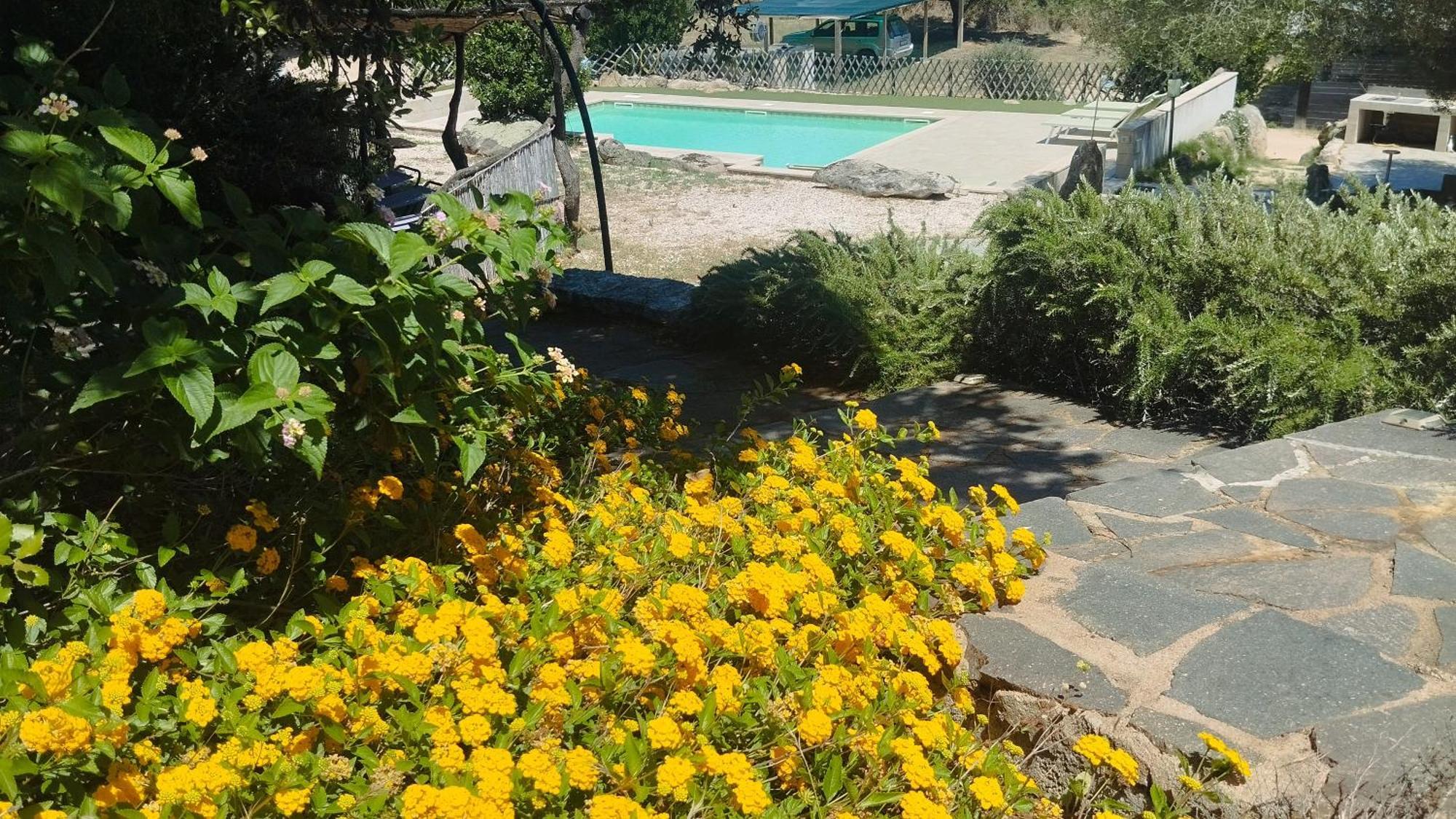 Agriturismo Desole Monti Buitenkant foto